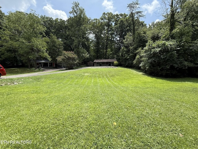 2512 Legion Dr, Knoxville, TN 37920 - photo 6