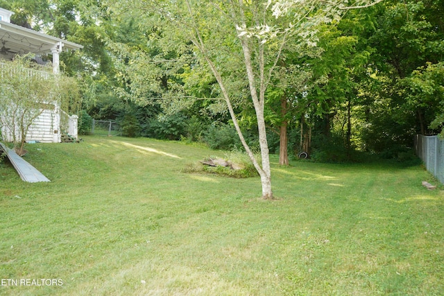 216 Brown Mountain Loop Rd, Knoxville, TN 37920 - photo 3