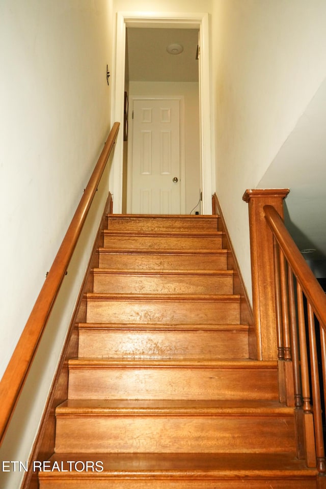 216 Brown Mountain Loop Rd, Knoxville, TN 37920 - photo 32