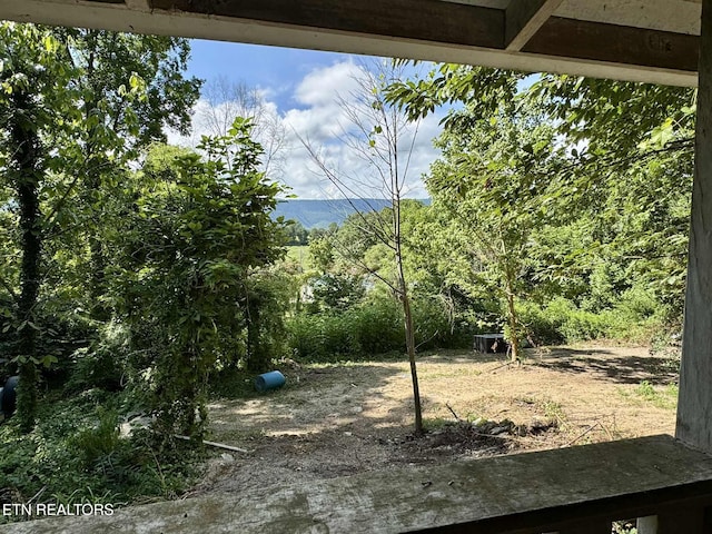 571 Forks Grove Rd, Lafollette, TN 37766 - photo 4