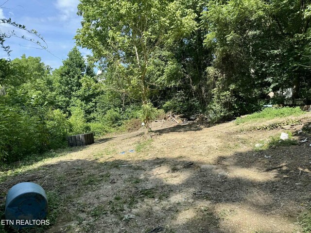 571 Forks Grove Rd, Lafollette, TN 37766 - photo 20
