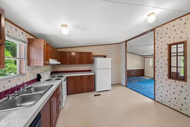 2764 Roberts Rd, Kodak, TN 37764 - photo 11