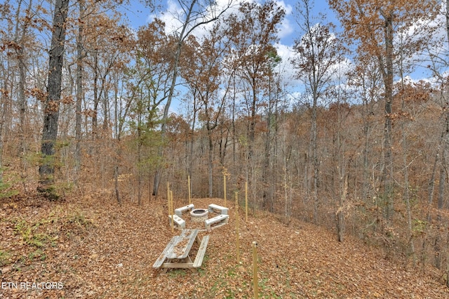 3201 Bear Country Way, Sevierville, TN 37876 - photo 4