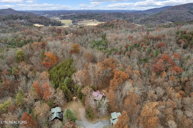 3201 Bear Country Way, Sevierville, TN 37876 - photo 33