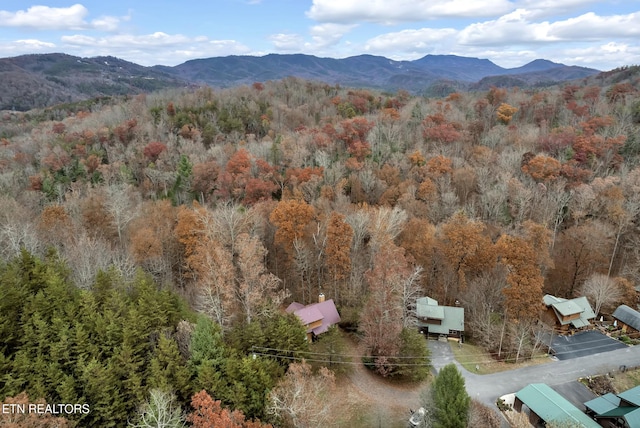 3201 Bear Country Way, Sevierville, TN 37876 - photo 34