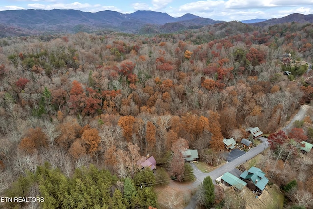 3201 Bear Country Way, Sevierville, TN 37876 - photo 36