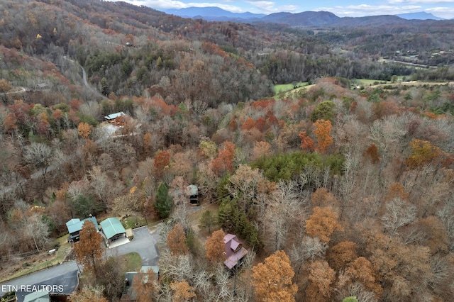 3201 Bear Country Way, Sevierville, TN 37876 - photo 37