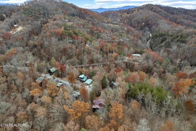3201 Bear Country Way, Sevierville, TN 37876 - photo 38