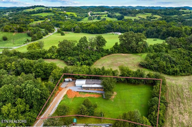 879 Mallard Way, Parrottsville, TN 37843 - photo 4