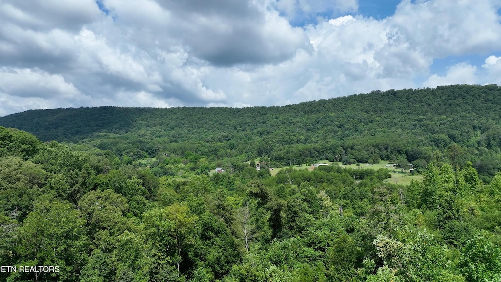 1776 Fairview Rd, Tellico Plains, TN 37385 - photo 4