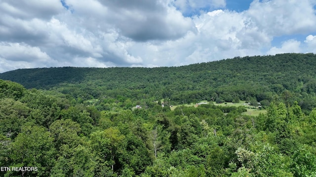 1776 Fairview Rd, Tellico Plains, TN 37385 - photo 4