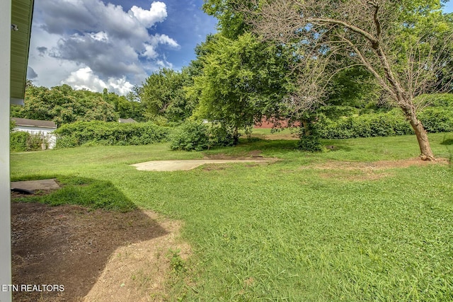 1734 Tennessee Ave, Knoxville, TN 37921 - photo 26