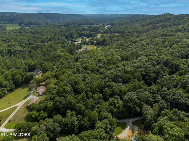 165 Tucker Ln, Lenoir City, TN 37771 - photo 44