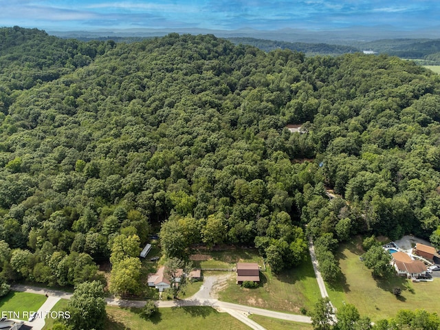 165 Tucker Ln, Lenoir City, TN 37771 - photo 46