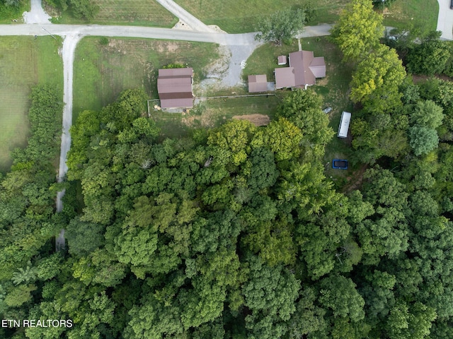 165 Tucker Ln, Lenoir City, TN 37771 - photo 45