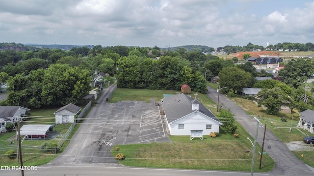 800 W Woodland Ave, Knoxville, TN 37921 - photo 4