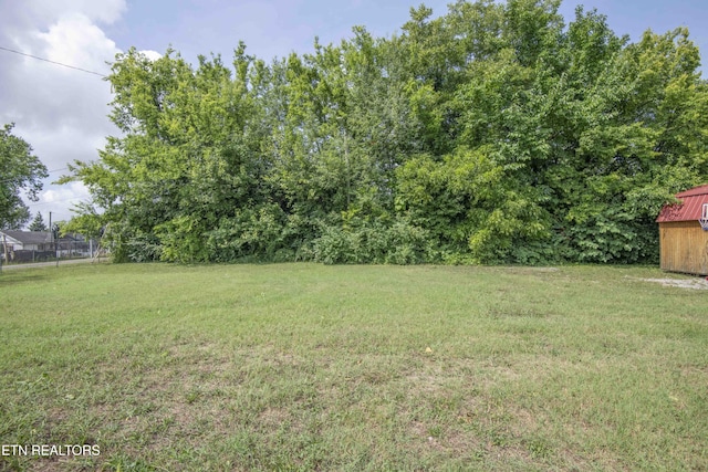 800 W Woodland Ave, Knoxville, TN 37921 - photo 40