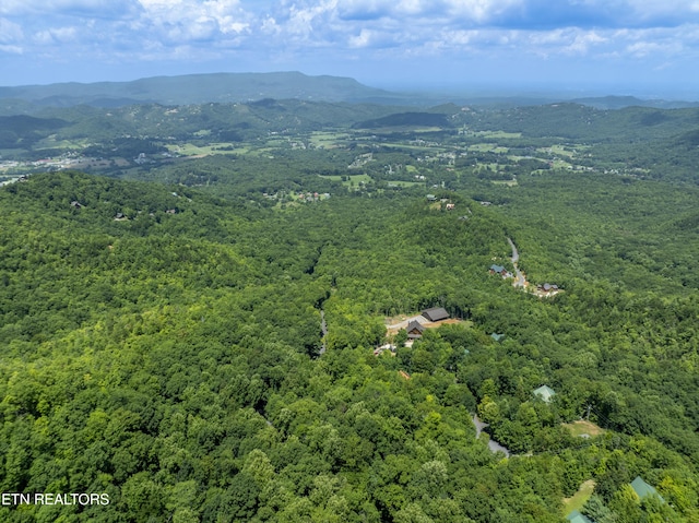 3685 Scottish Highland Way, Sevierville, TN 37862 - photo 41
