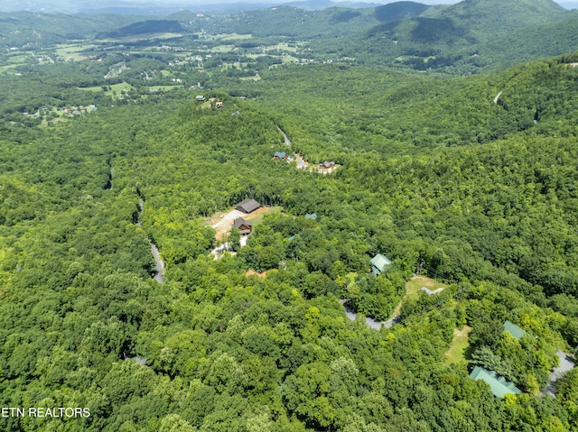 3685 Scottish Highland Way, Sevierville, TN 37862 - photo 42