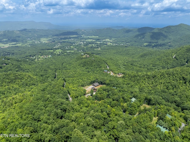 3685 Scottish Highland Way, Sevierville, TN 37862 - photo 43