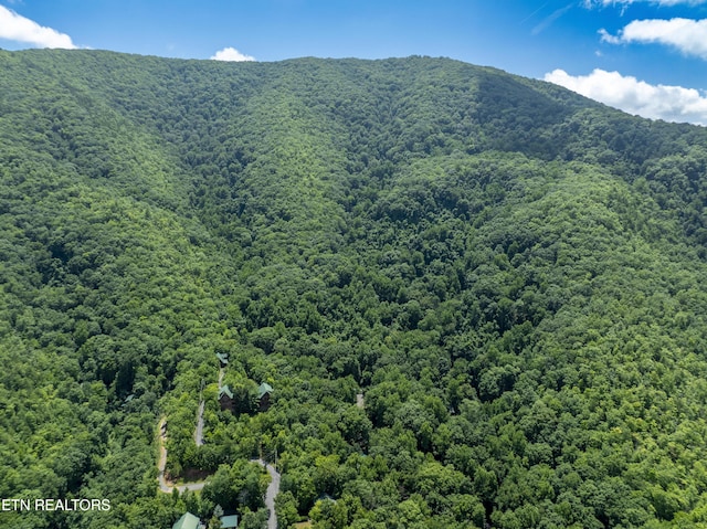 3685 Scottish Highland Way, Sevierville, TN 37862 - photo 45