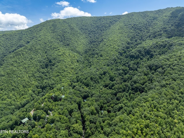 3685 Scottish Highland Way, Sevierville, TN 37862 - photo 46