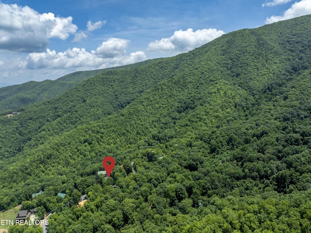 3685 Scottish Highland Way, Sevierville, TN 37862 - photo 48