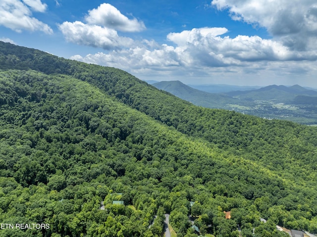 3685 Scottish Highland Way, Sevierville, TN 37862 - photo 50
