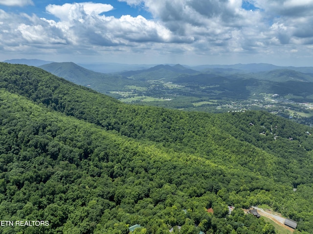 3685 Scottish Highland Way, Sevierville, TN 37862 - photo 51