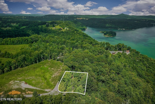 308 Cosby Parris Rd, Byrdstown, TN 38549 - photo 3