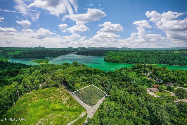 308 Cosby Parris Rd, Byrdstown, TN 38549 - photo 7