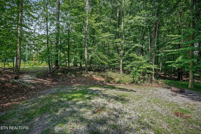 308 Cosby Parris Rd, Byrdstown, TN 38549 - photo 13