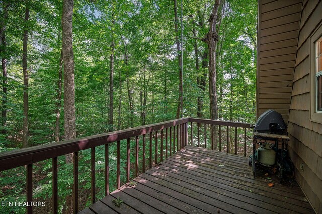 308 Cosby Parris Rd, Byrdstown, TN 38549 - photo 18