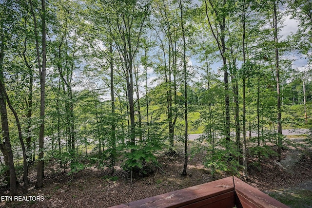 308 Cosby Parris Rd, Byrdstown, TN 38549 - photo 29