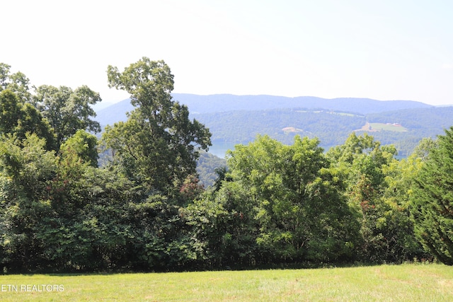 LOT168 Feldspar Rd, New Tazewell, TN 37825 - photo 1