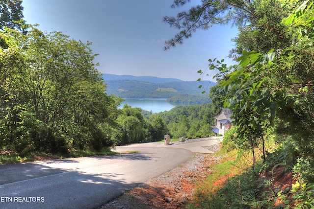 LOT168 Feldspar Rd, New Tazewell, TN 37825 - photo 2