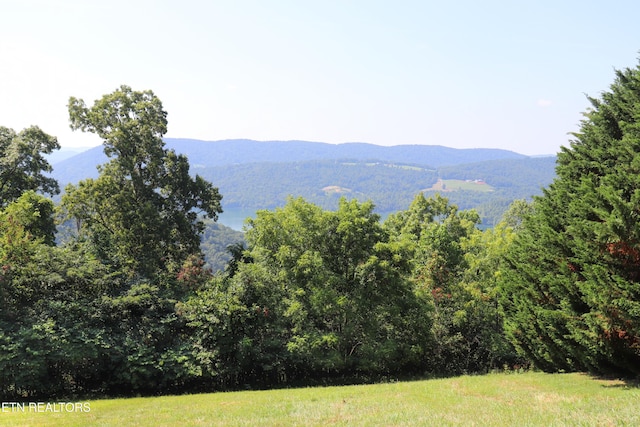 LOT168 Feldspar Rd, New Tazewell, TN 37825 - photo 3