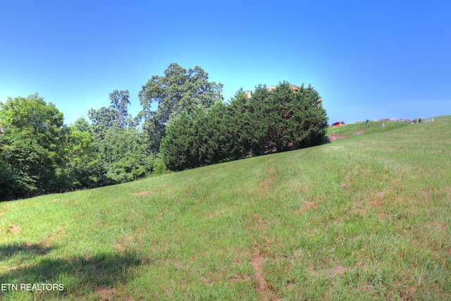 LOT168 Feldspar Rd, New Tazewell, TN 37825 - photo 7
