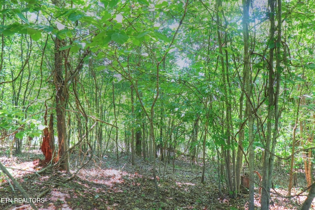 LOT168 Feldspar Rd, New Tazewell, TN 37825 - photo 8