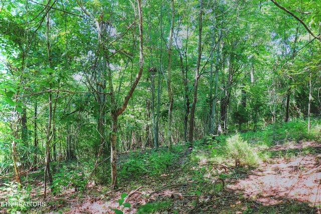 LOT168 Feldspar Rd, New Tazewell, TN 37825 - photo 9