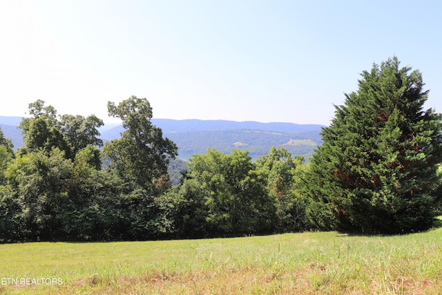 LOT168 Feldspar Rd, New Tazewell, TN 37825 - photo 4