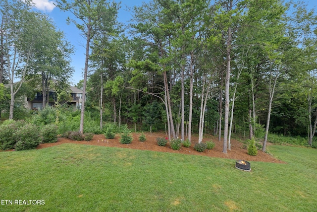 5389 Zion Ridge Rd, Loudon, TN 37774 - photo 46