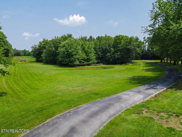 933 Airport Rd, Livingston, TN 38570 - photo 14