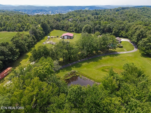 933 Airport Rd, Livingston, TN 38570 - photo 19