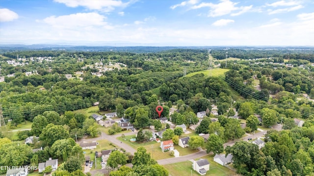 6008 Autumn Oaks Ln, Knoxville, TN 37921 - photo 33
