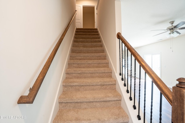 3116 Berna Way, Morristown, TN 37814 - photo 14