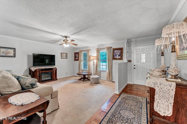 1613 Mcilvaine Dr, Maryville, TN 37803 - photo 5