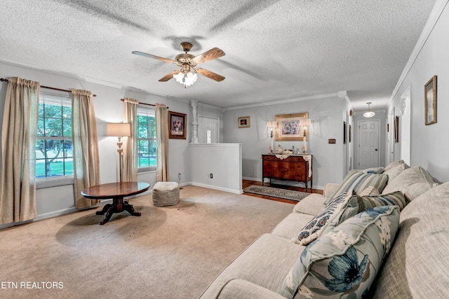 1613 Mcilvaine Dr, Maryville, TN 37803 - photo 7