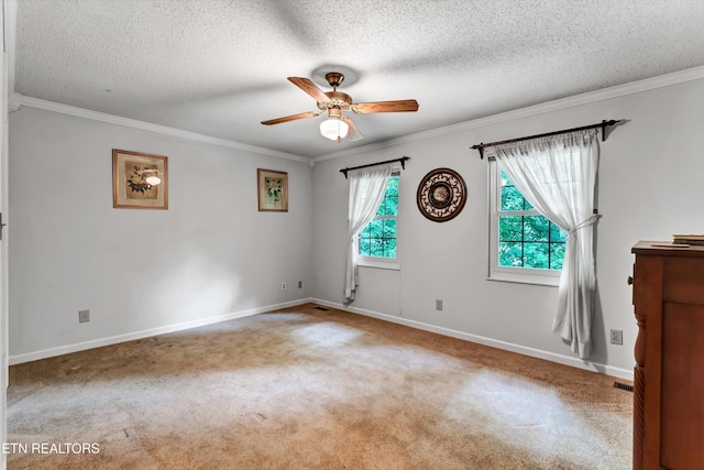 1613 Mcilvaine Dr, Maryville, TN 37803 - photo 22