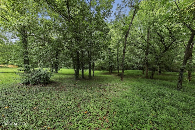 8854 Brucewood Ln, Knoxville, TN 37923 - photo 26